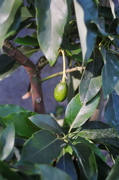 DSCN0625.JPG