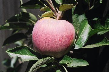 DSCN0625.JPG